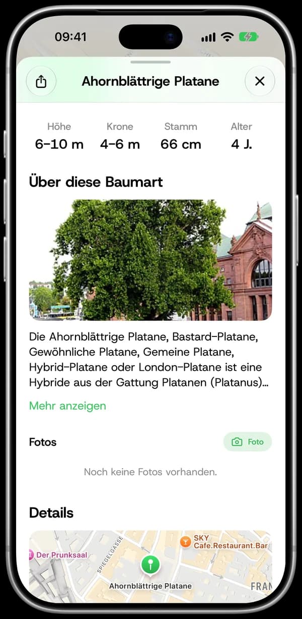 Details und Standort eines Baums